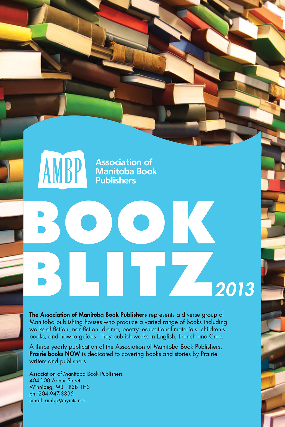 Book Blitz 2013